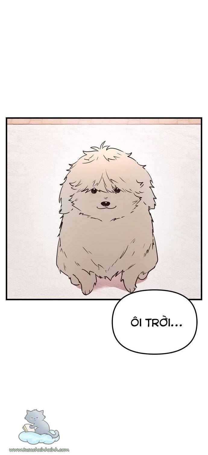 Căn Hộ Ký Túc Xá Của Pháp Sư - Chương 11 - Trang 63