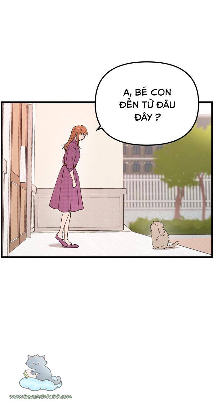 Căn Hộ Ký Túc Xá Của Pháp Sư - Chương 11 - Trang 64