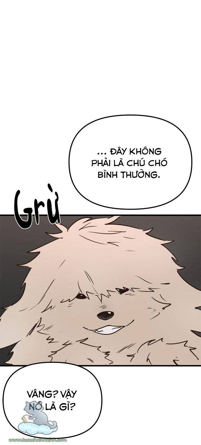 Căn Hộ Ký Túc Xá Của Pháp Sư - Chương 11 - Trang 74