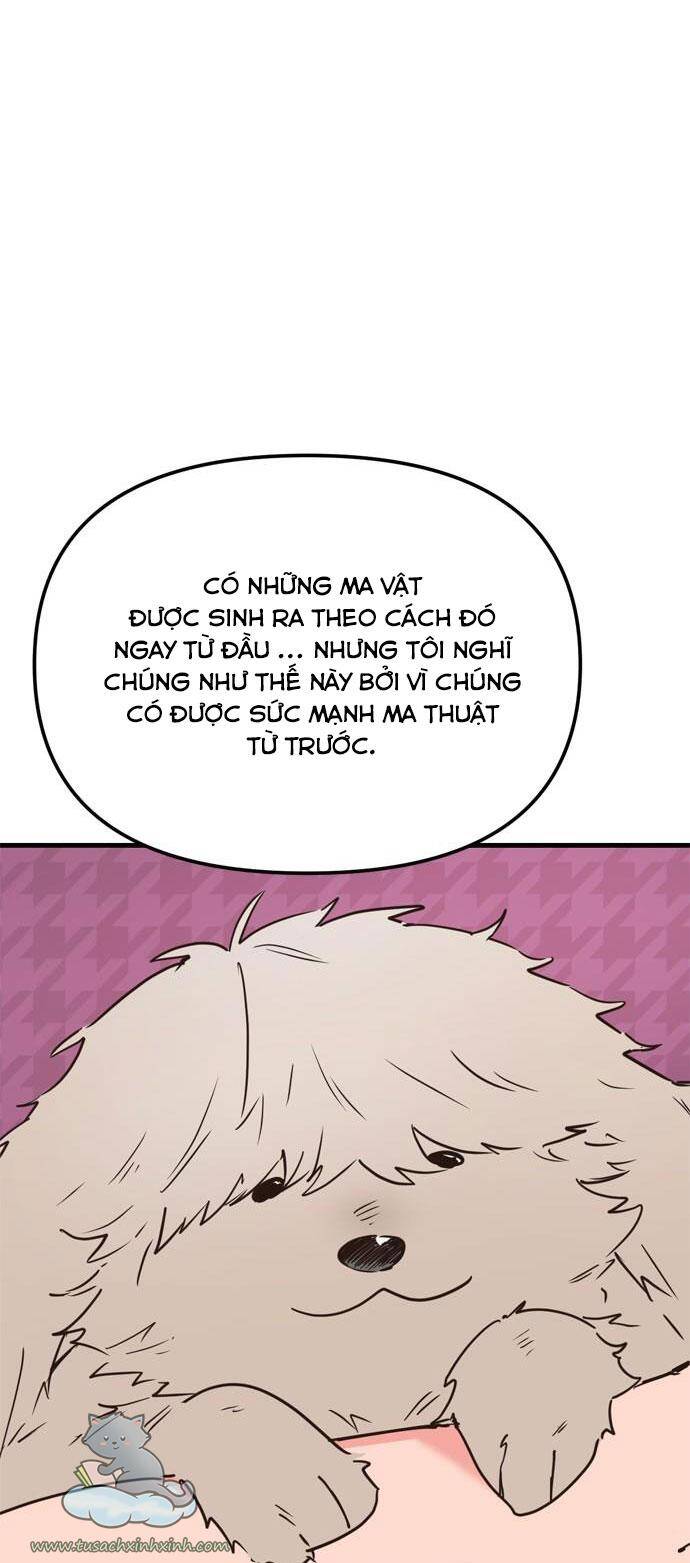 Căn Hộ Ký Túc Xá Của Pháp Sư - Chương 12 - Trang 7