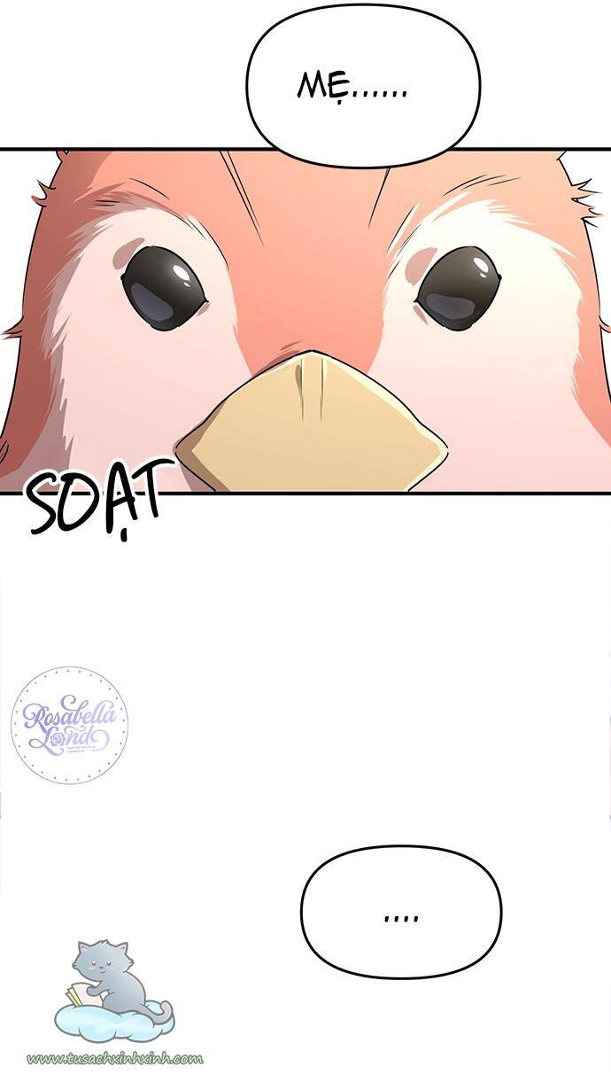 Căn Hộ Ký Túc Xá Của Pháp Sư - Chương 5 - Trang 49