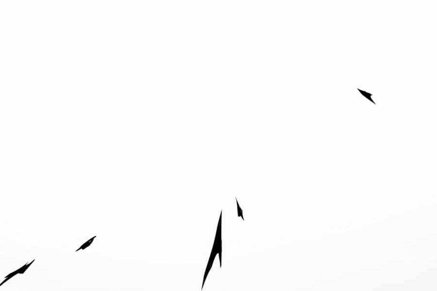 Tăng Cấp Bằng Việc Giơ Ngón Cái - Chương 17 - Trang 172