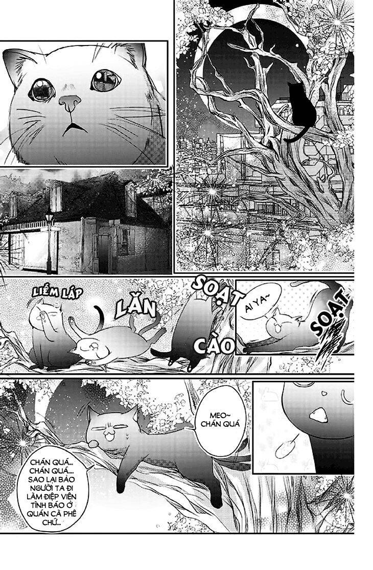 Scarlet Cross - Chương 14 - Trang 21