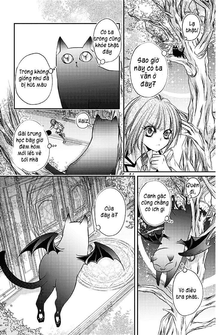 Scarlet Cross - Chương 14 - Trang 25