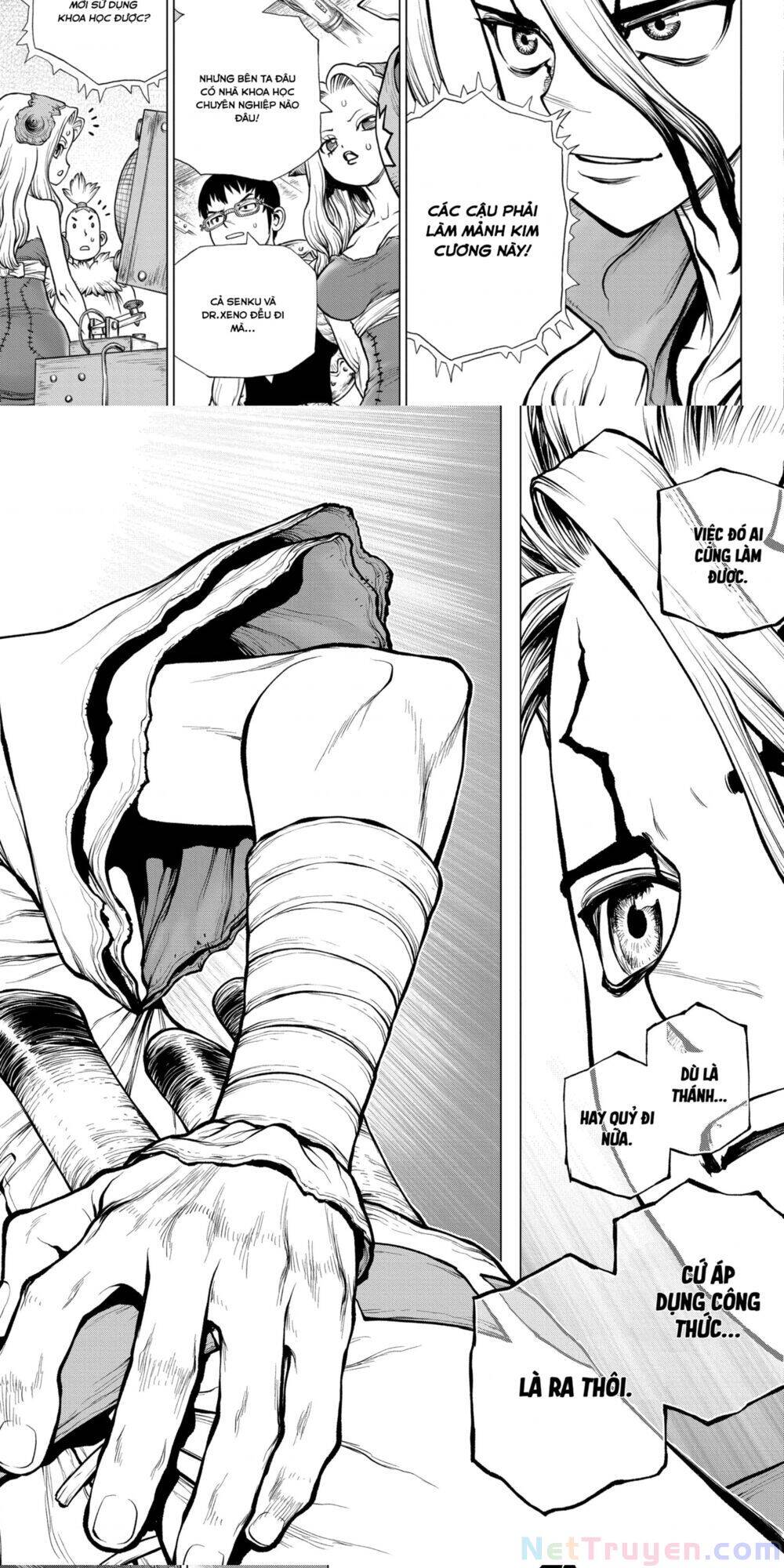 Dr.stone - Chương 182 - Trang 10