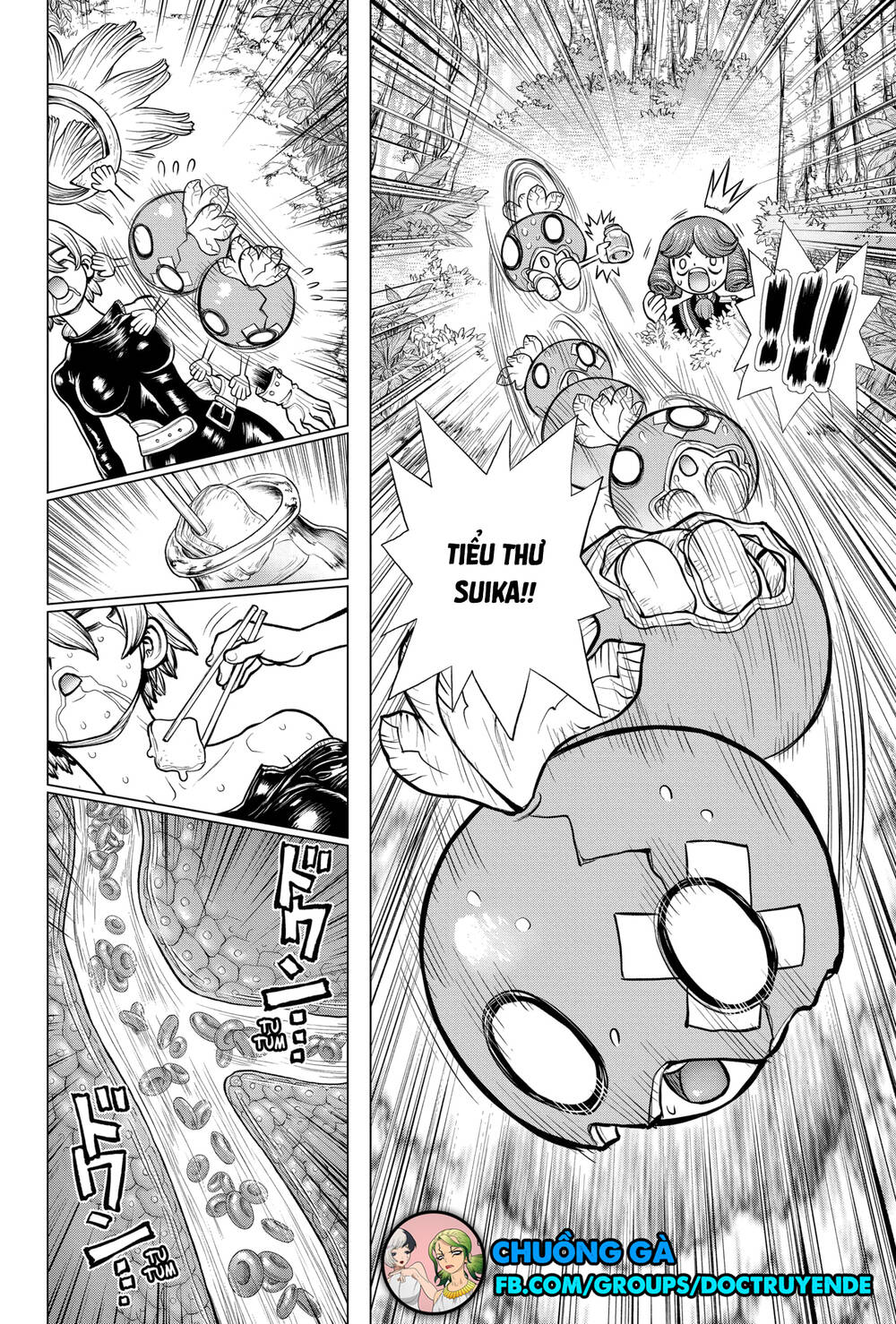 Dr.stone - Chương 185 - Trang 19