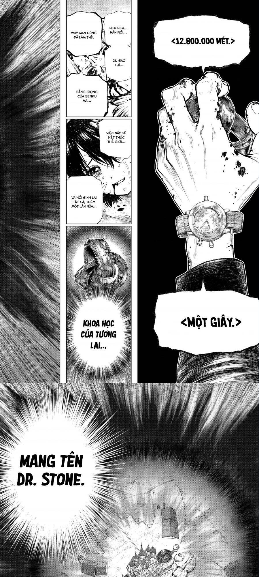 Dr.stone - Chương 191 - Trang 13