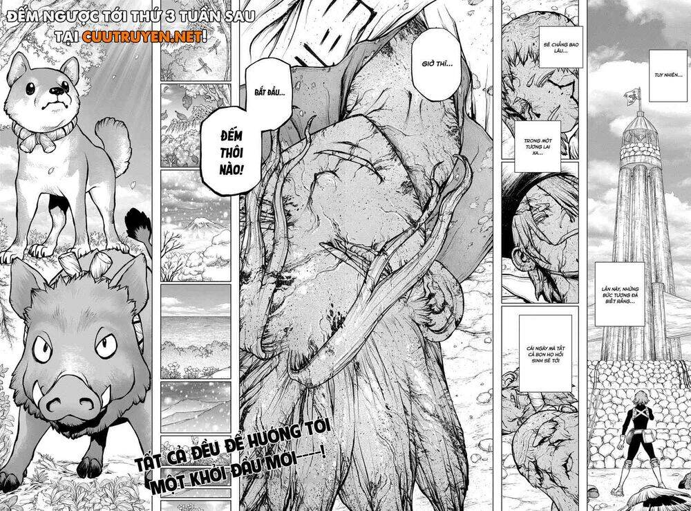 Dr.stone - Chương 193 - Trang 17