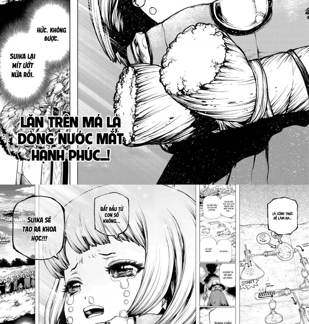 Dr.stone - Chương 195 - Trang 13