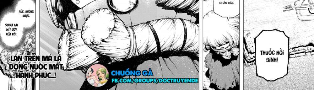 Dr.stone - Chương 195 - Trang 14