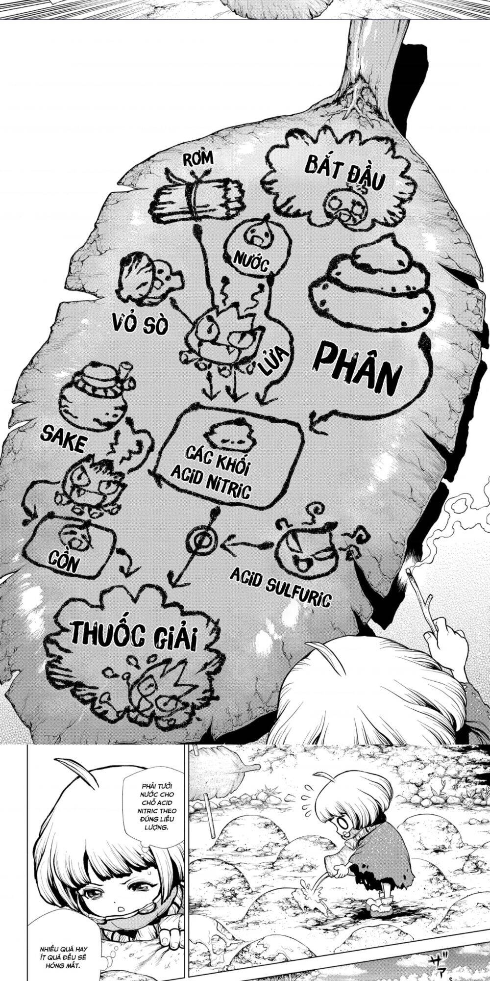 Dr.stone - Chương 196 - Trang 8