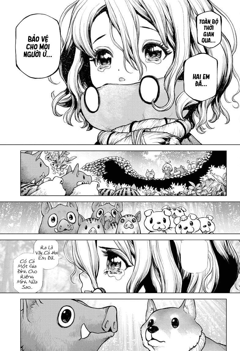 Dr.stone - Chương 212 - Trang 14