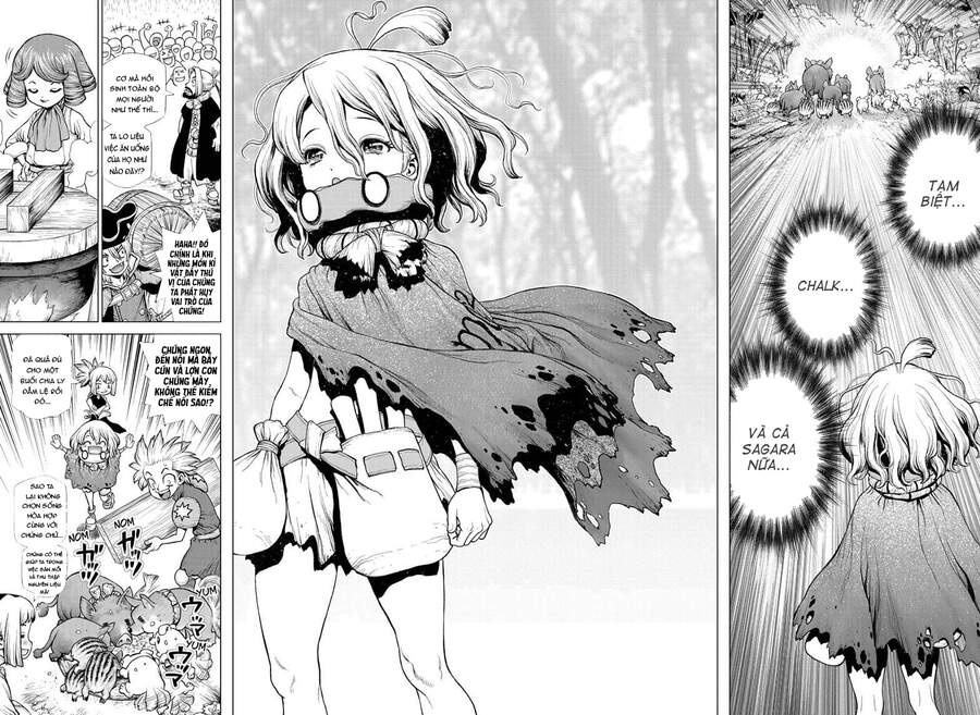 Dr.stone - Chương 212 - Trang 15