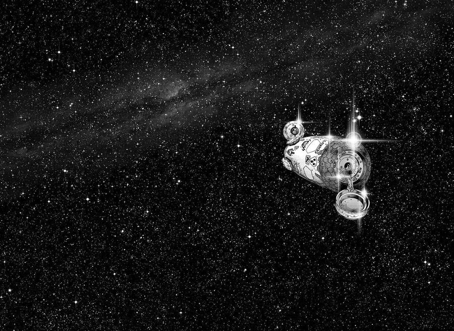 Dr.stone - Chương 224 - Trang 8