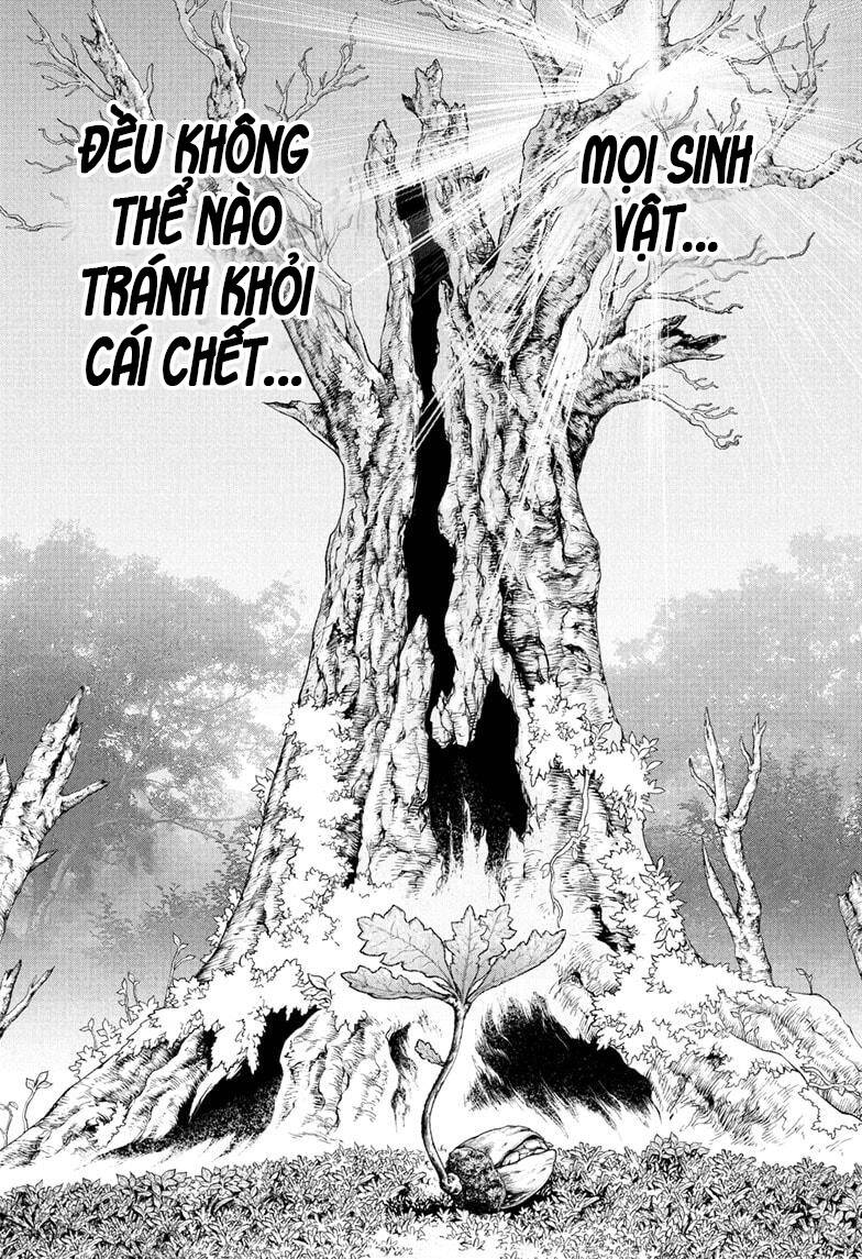 Dr.stone - Chương 230 - Trang 2