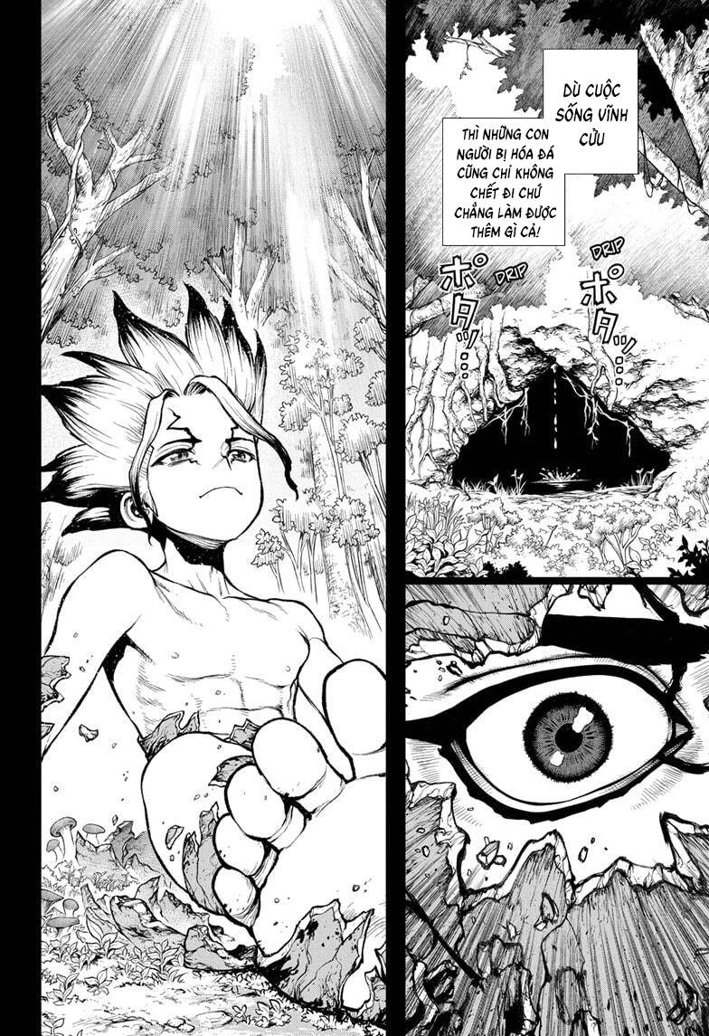 Dr.stone - Chương 229 - Trang 14