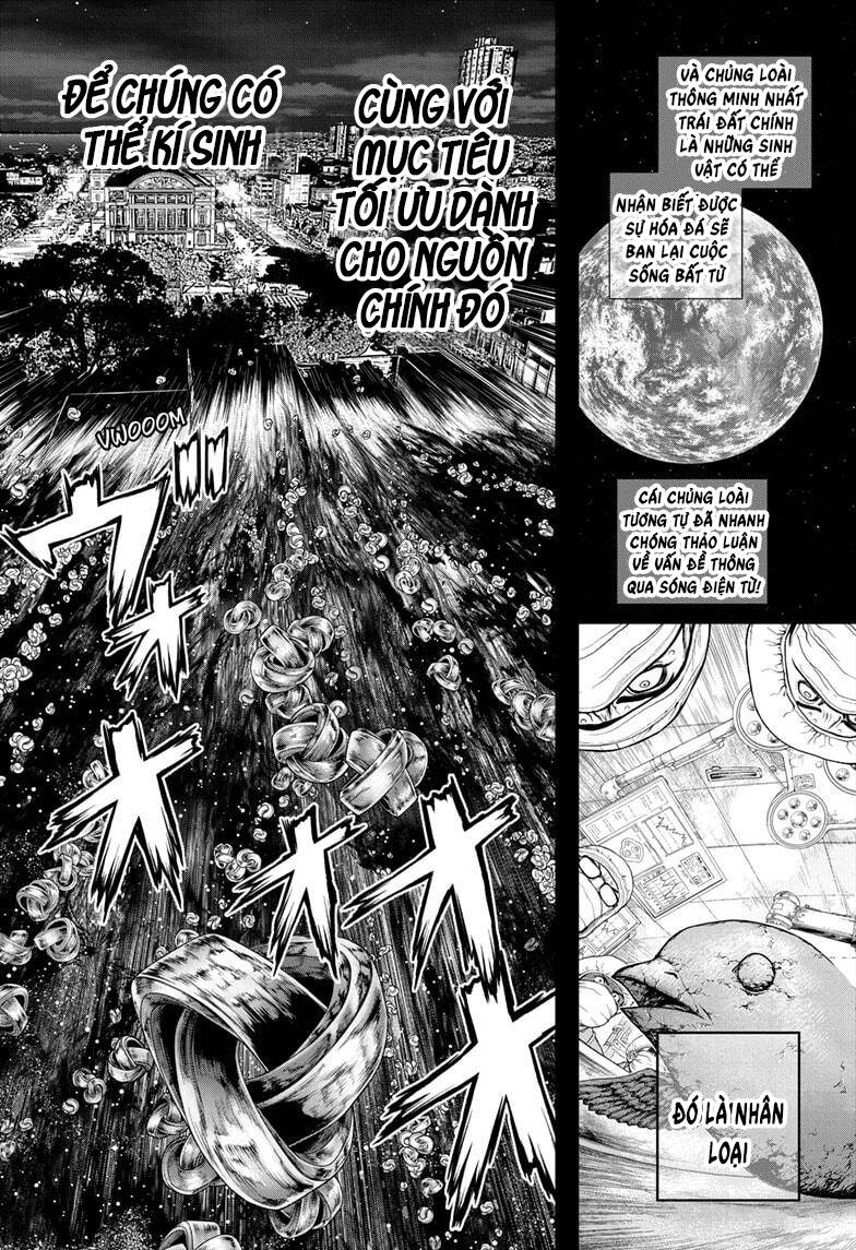 Dr.stone - Chương 229 - Trang 8