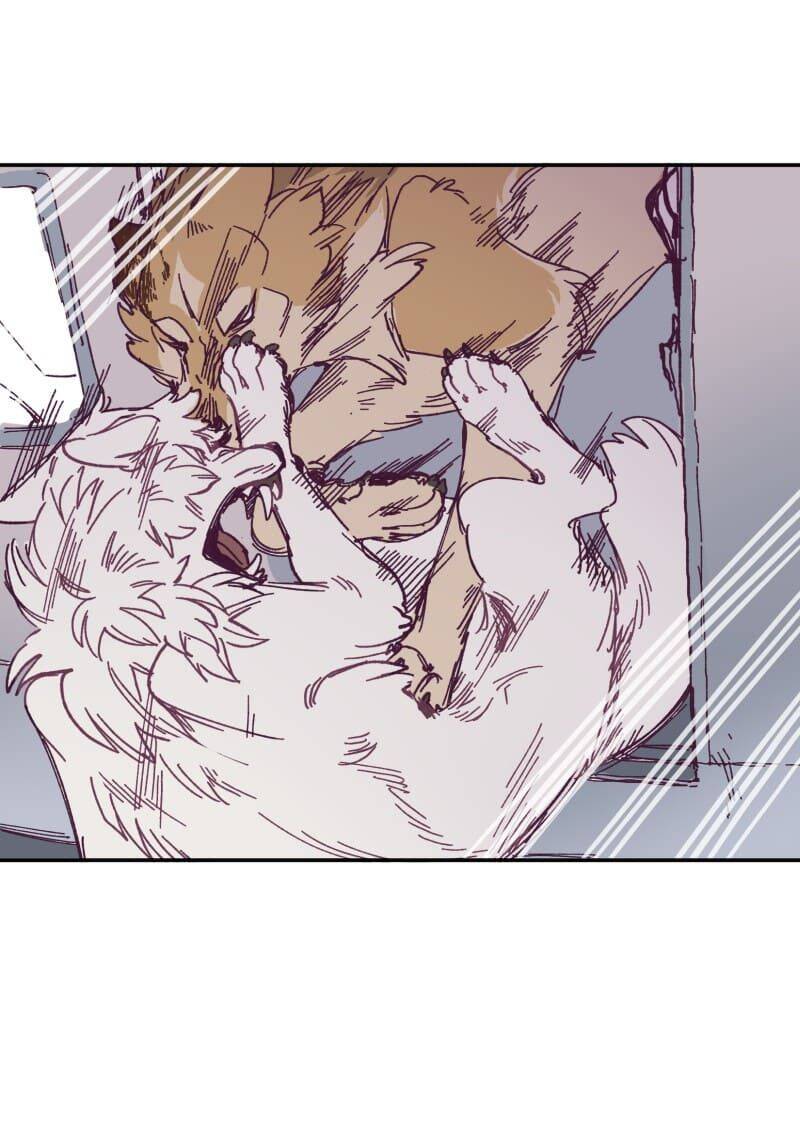 Lumine - Chương 119 - Trang 3