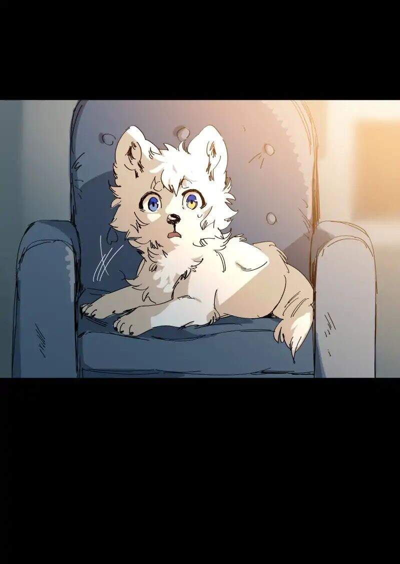 Lumine - Chương 63 - Trang 14