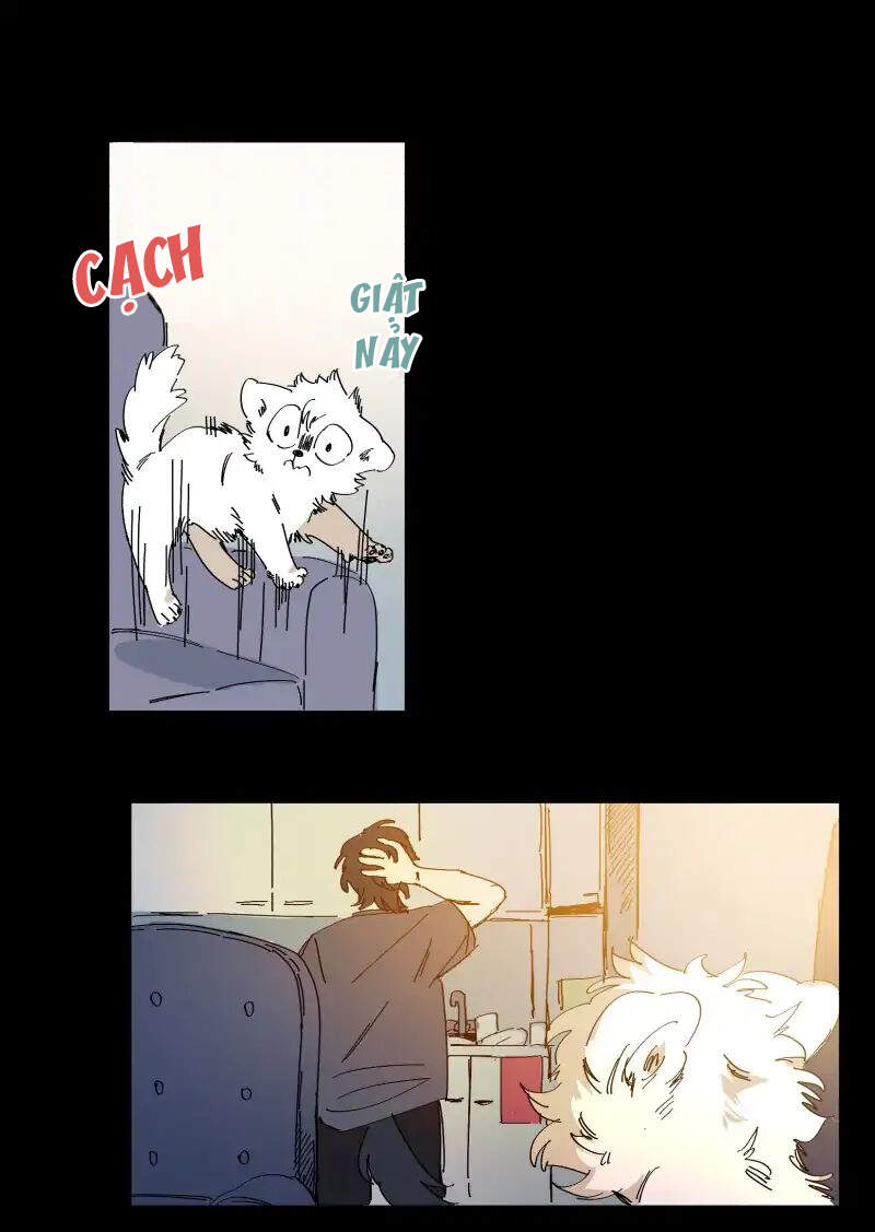 Lumine - Chương 63 - Trang 17