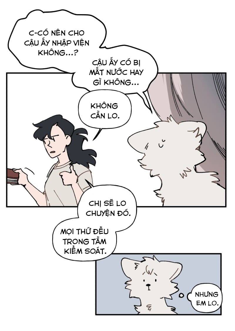 Lumine - Chương 105 - Trang 14