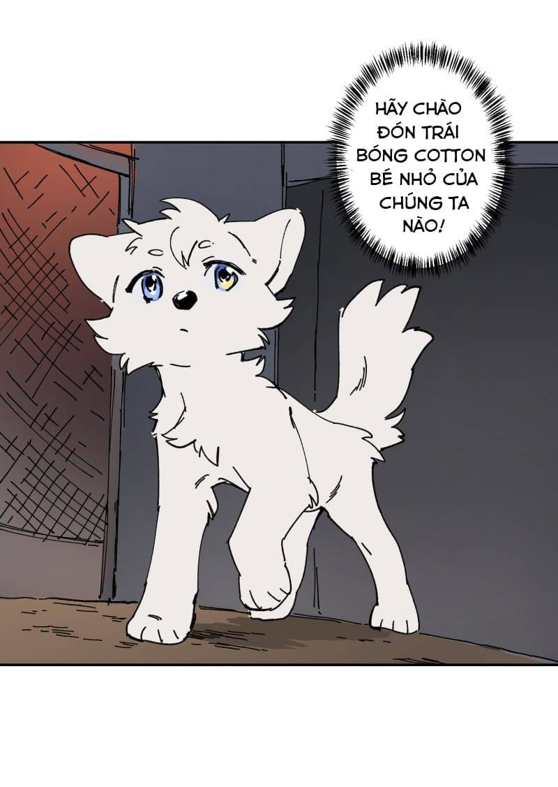Lumine - Chương 106 - Trang 36
