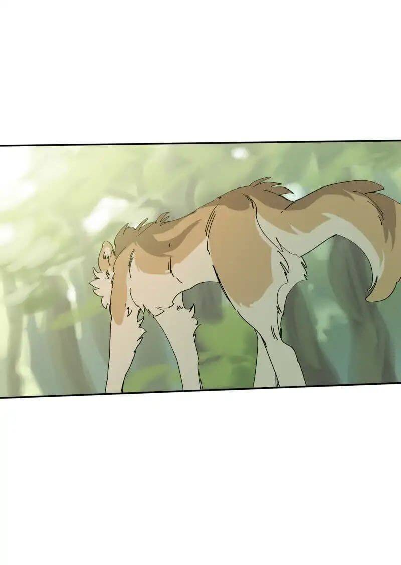 Lumine - Chương 68 - Trang 15