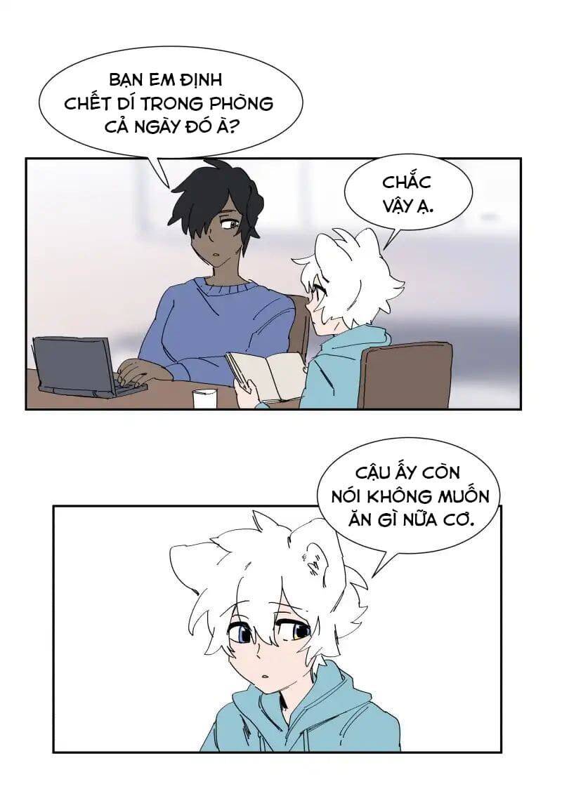 Lumine - Chương 68 - Trang 4