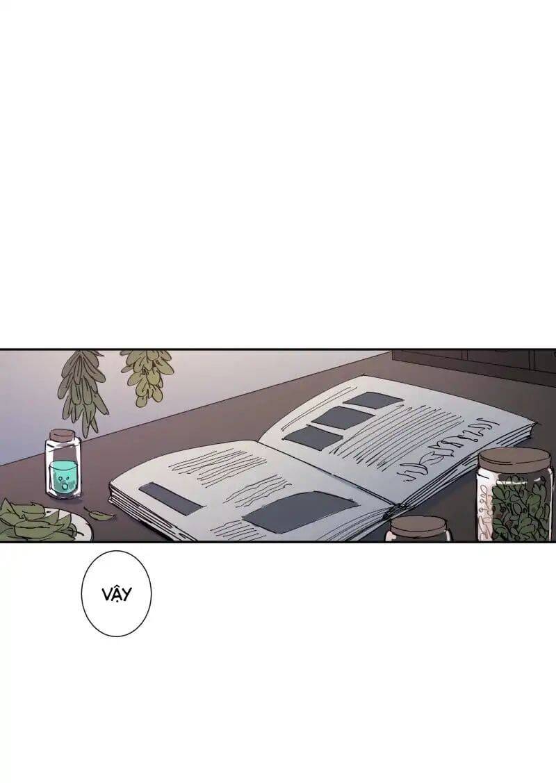 Lumine - Chương 69 - Trang 13