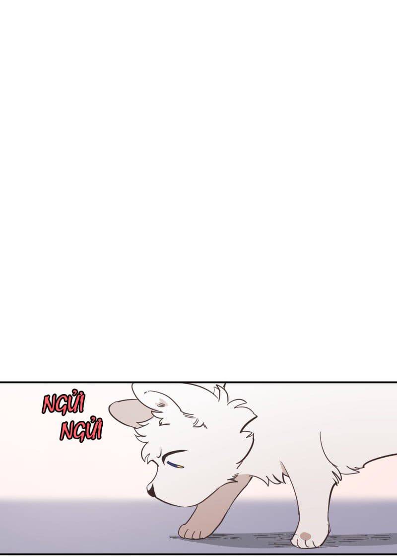 Lumine - Chương 73 - Trang 42