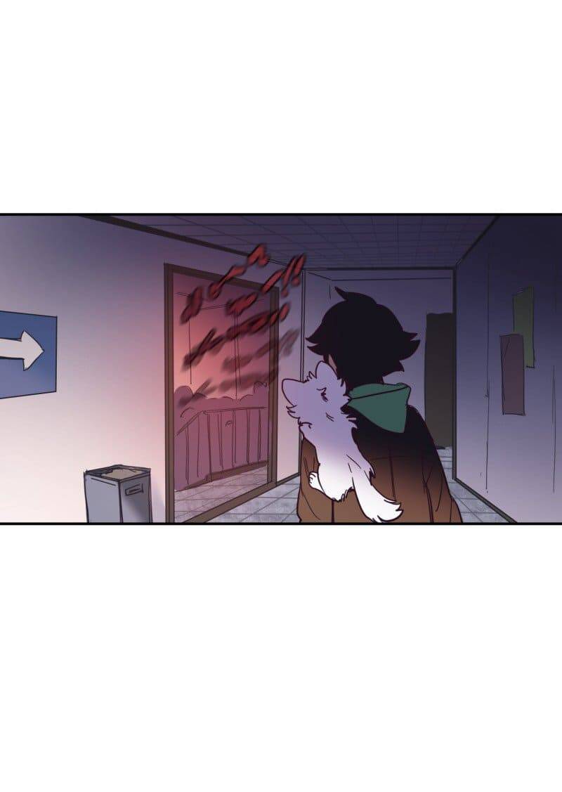 Lumine - Chương 73 - Trang 54