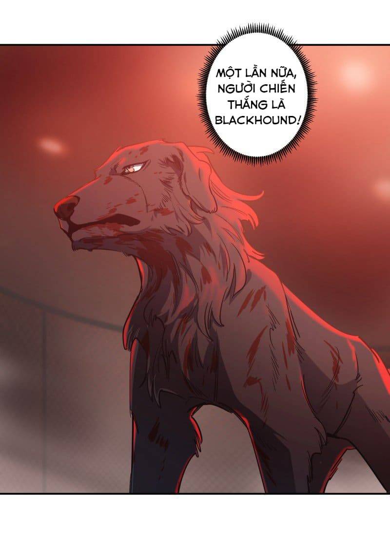 Lumine - Chương 74 - Trang 11