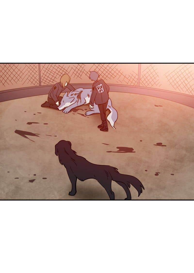 Lumine - Chương 74 - Trang 13