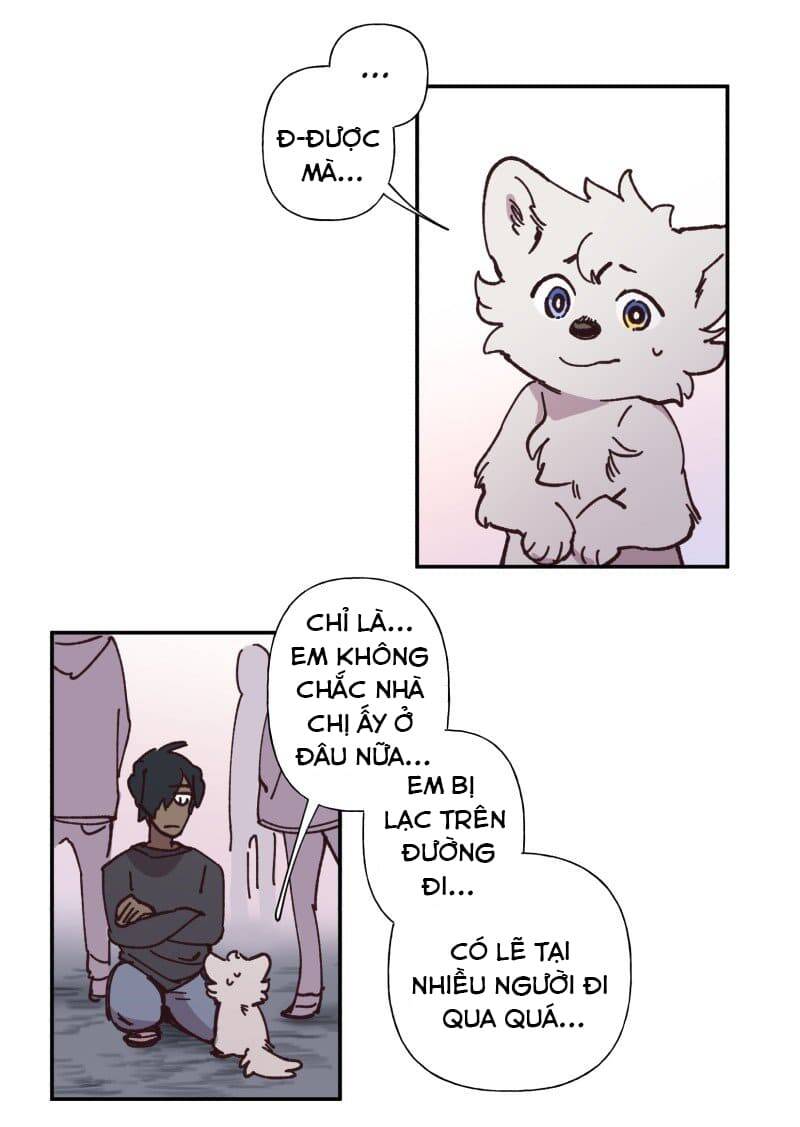 Lumine - Chương 82 - Trang 10