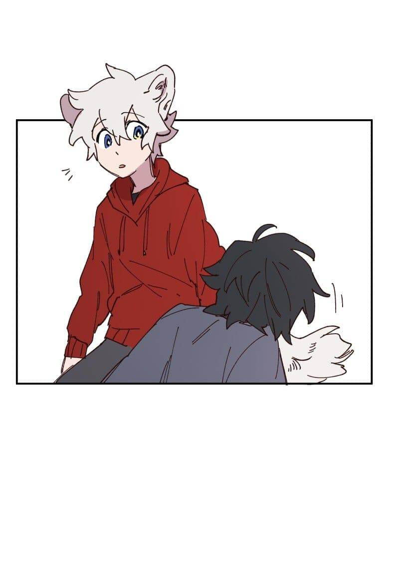 Lumine - Chương 85 - Trang 11