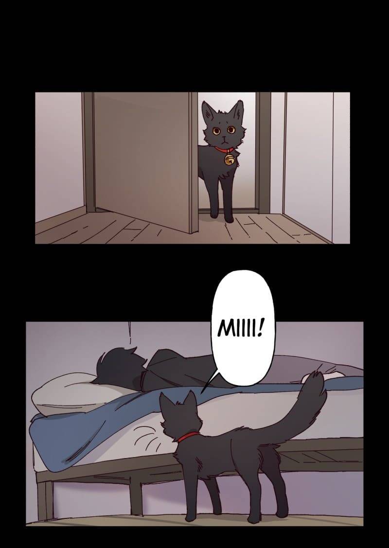 Lumine - Chương 95 - Trang 11