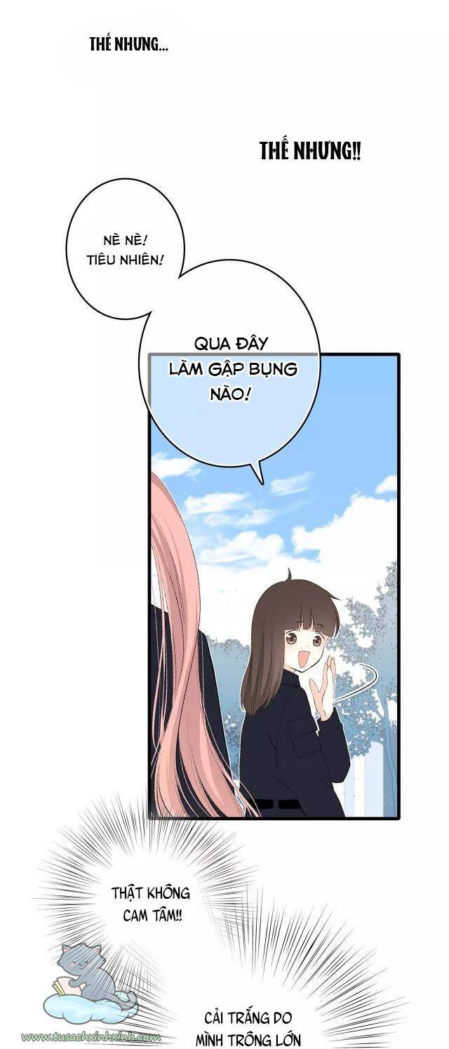 Con Tim Rung Động - Chương 76.1 - Trang 14