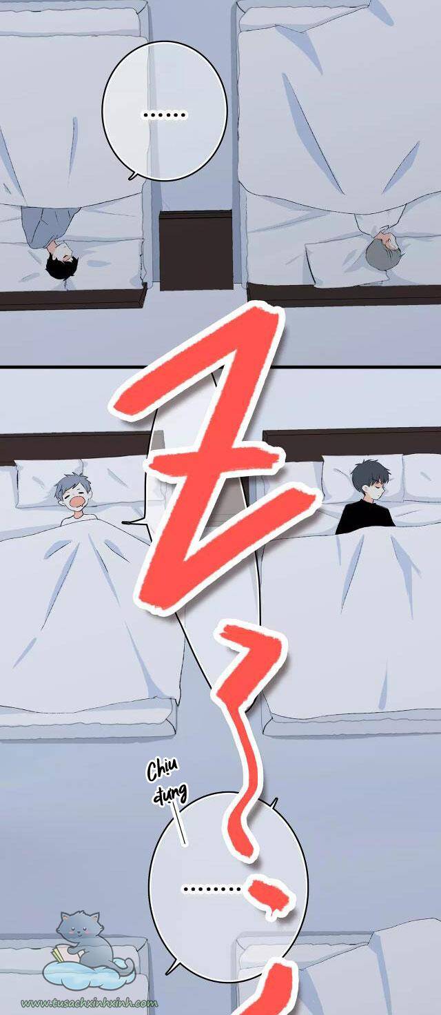 Con Tim Rung Động - Chương 80.1 - Trang 5