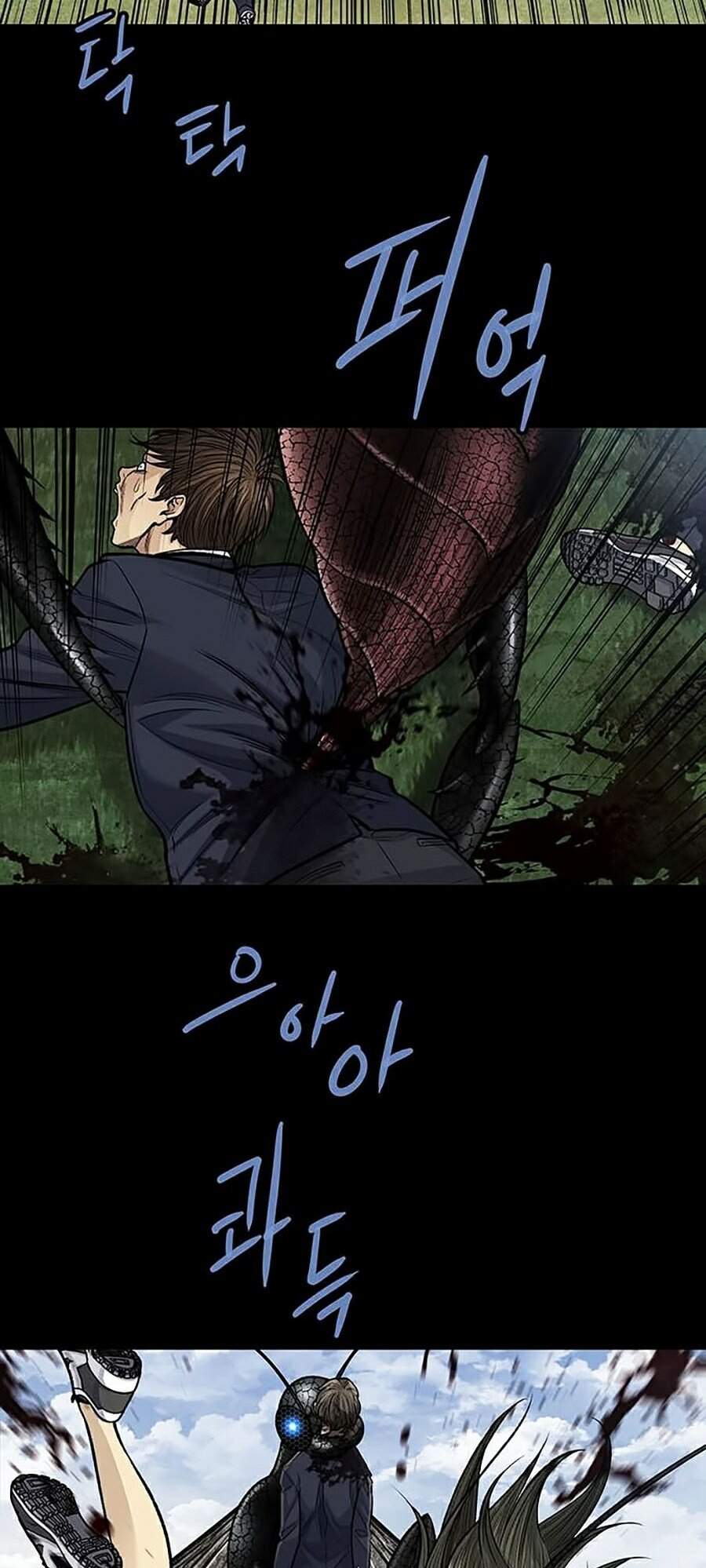 Hive - Chương 245 - Trang 11