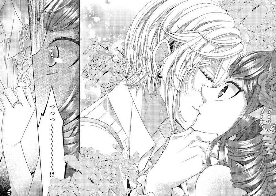 Nhật Kí Theo Dõi Vị Hôn Thê Tự Nhận Mình Là Nữ Phụ Phản Diện - Chương 25 - Trang 27