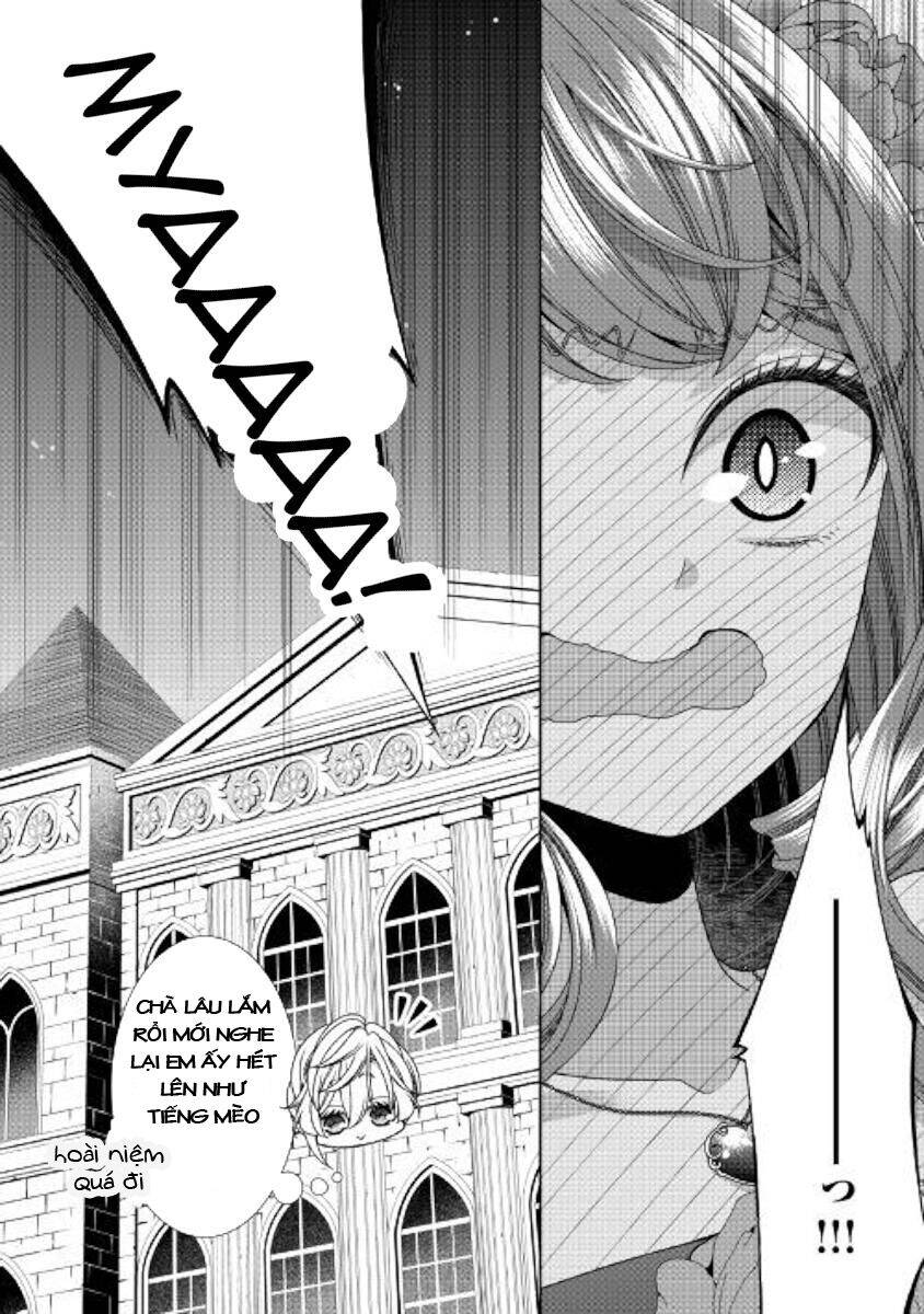 Nhật Kí Theo Dõi Vị Hôn Thê Tự Nhận Mình Là Nữ Phụ Phản Diện - Chương 26 - Trang 30