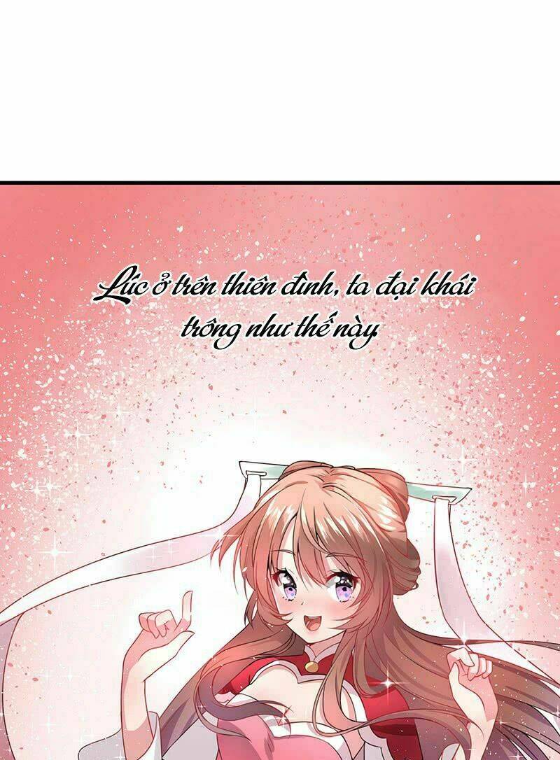 Quan Âm Giá Đáo - Chương 1.5 - Trang 3