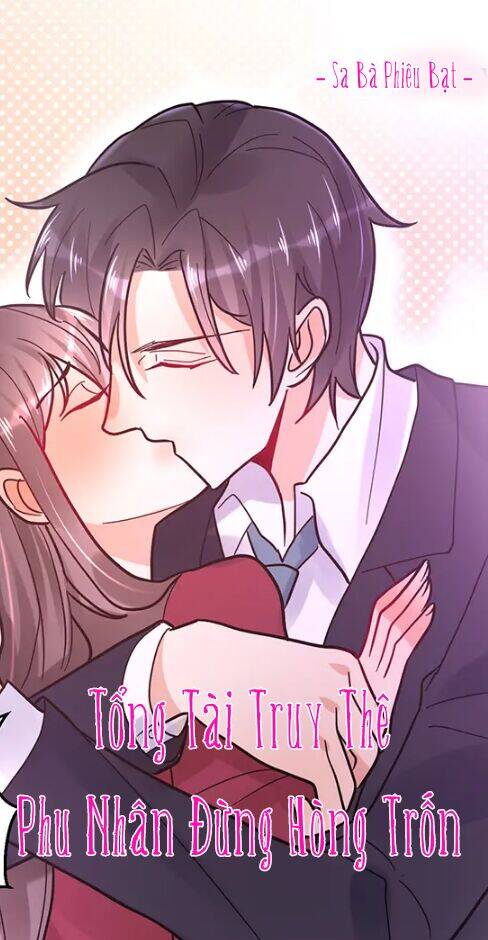 Tổng Tài Truy Thê: Phu Nhân Lại Chạy Trốn - Chương 19 - Trang 2