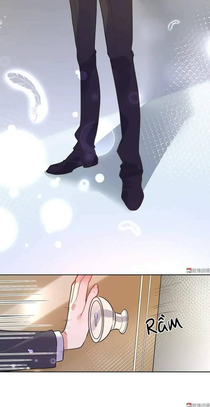 Tổng Tài Truy Thê: Phu Nhân Lại Chạy Trốn - Chương 19 - Trang 14