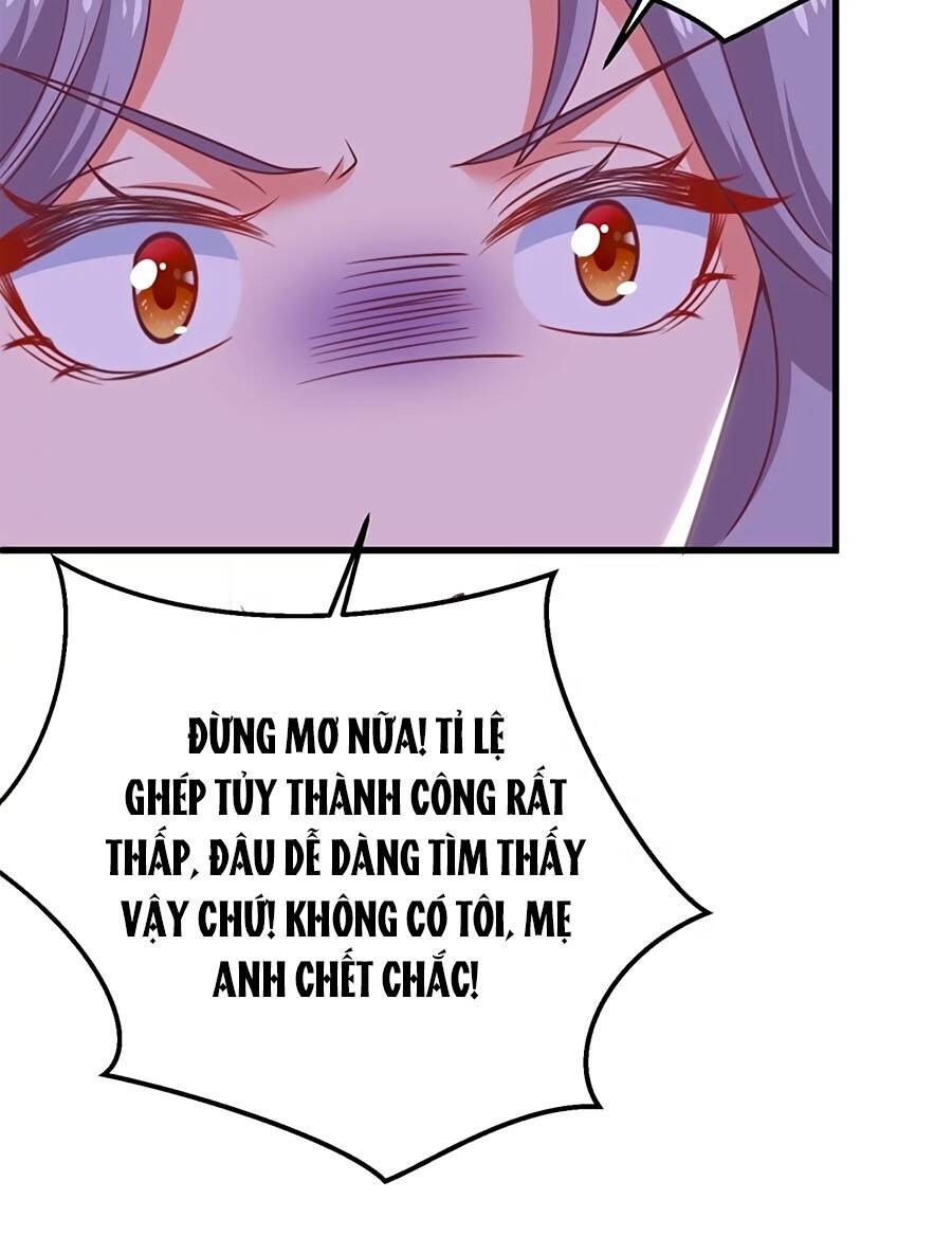 Một Thai Hai Bảo : Đưa Mami Về Nhà ! - Chương 323 - Trang 13