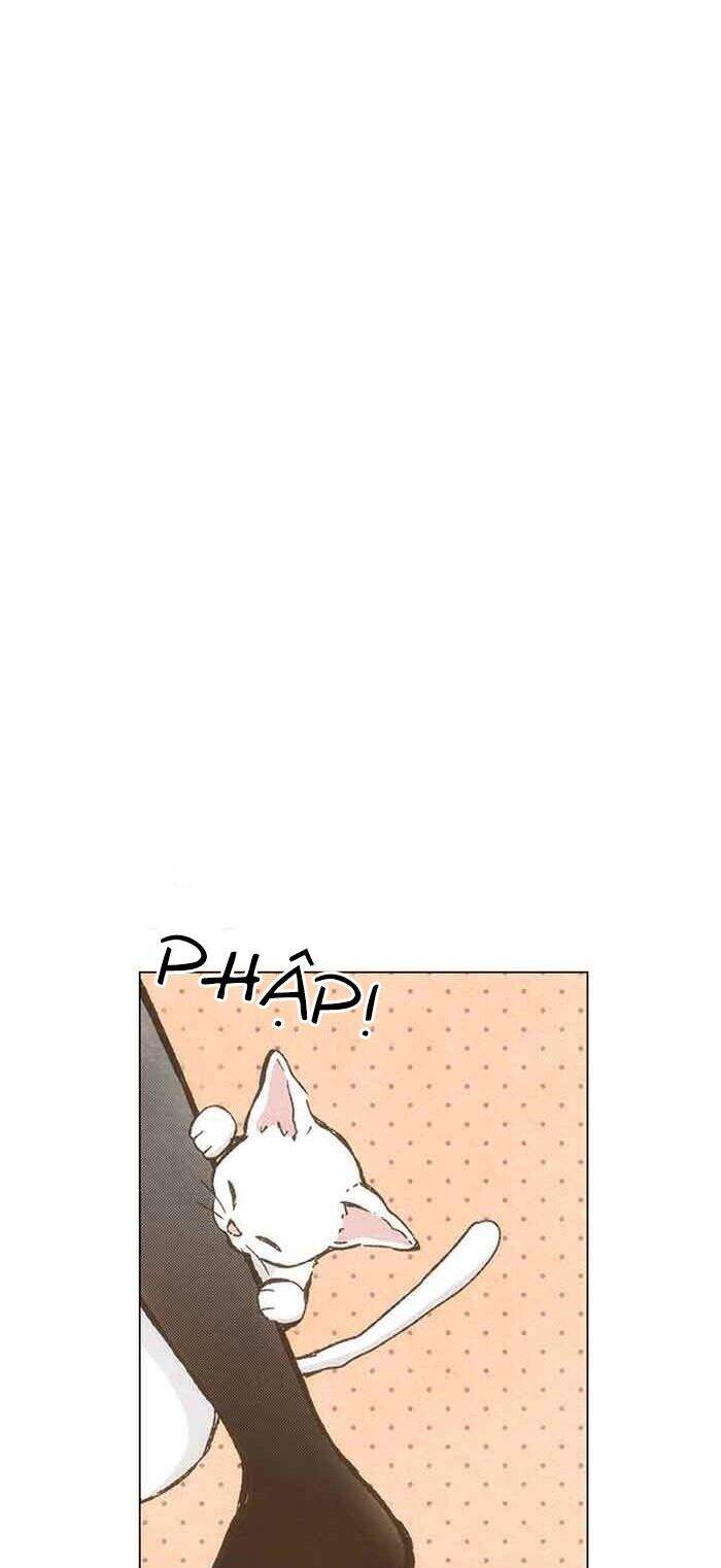 Làm Vợ Anh, Em Nhé - Chương 74 - Trang 5