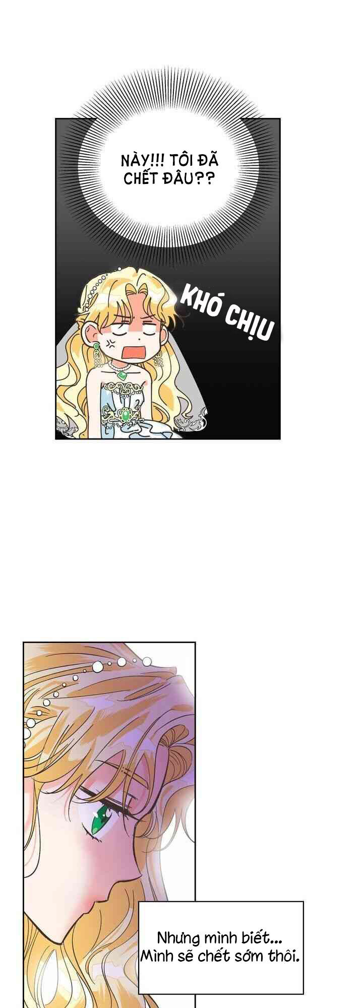 Nữ Phụ Phản Diện Rất Hợp Đôi Với Tên Bạo Chúa - Chương 1 - Trang 38