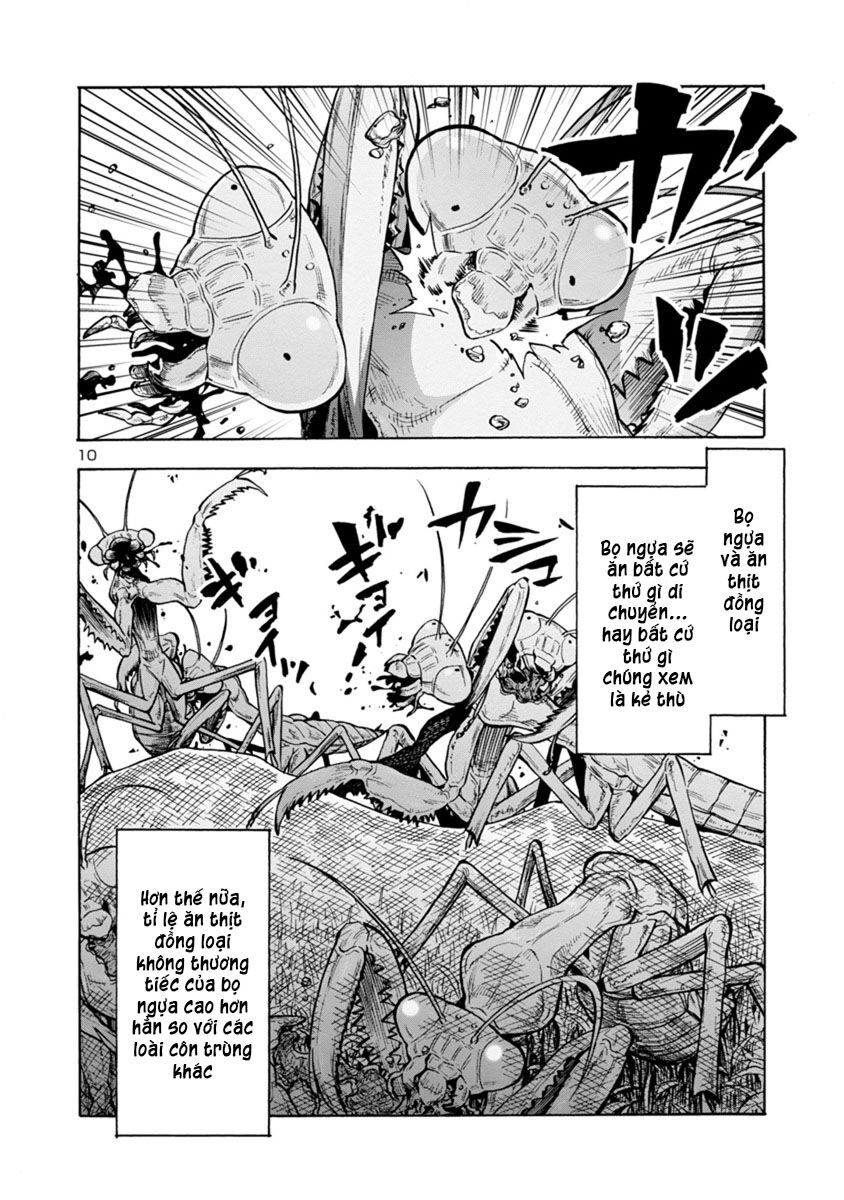 Kyochuu Rettou - Đảo Côn Trùng - Chương 38.5 - Trang 11