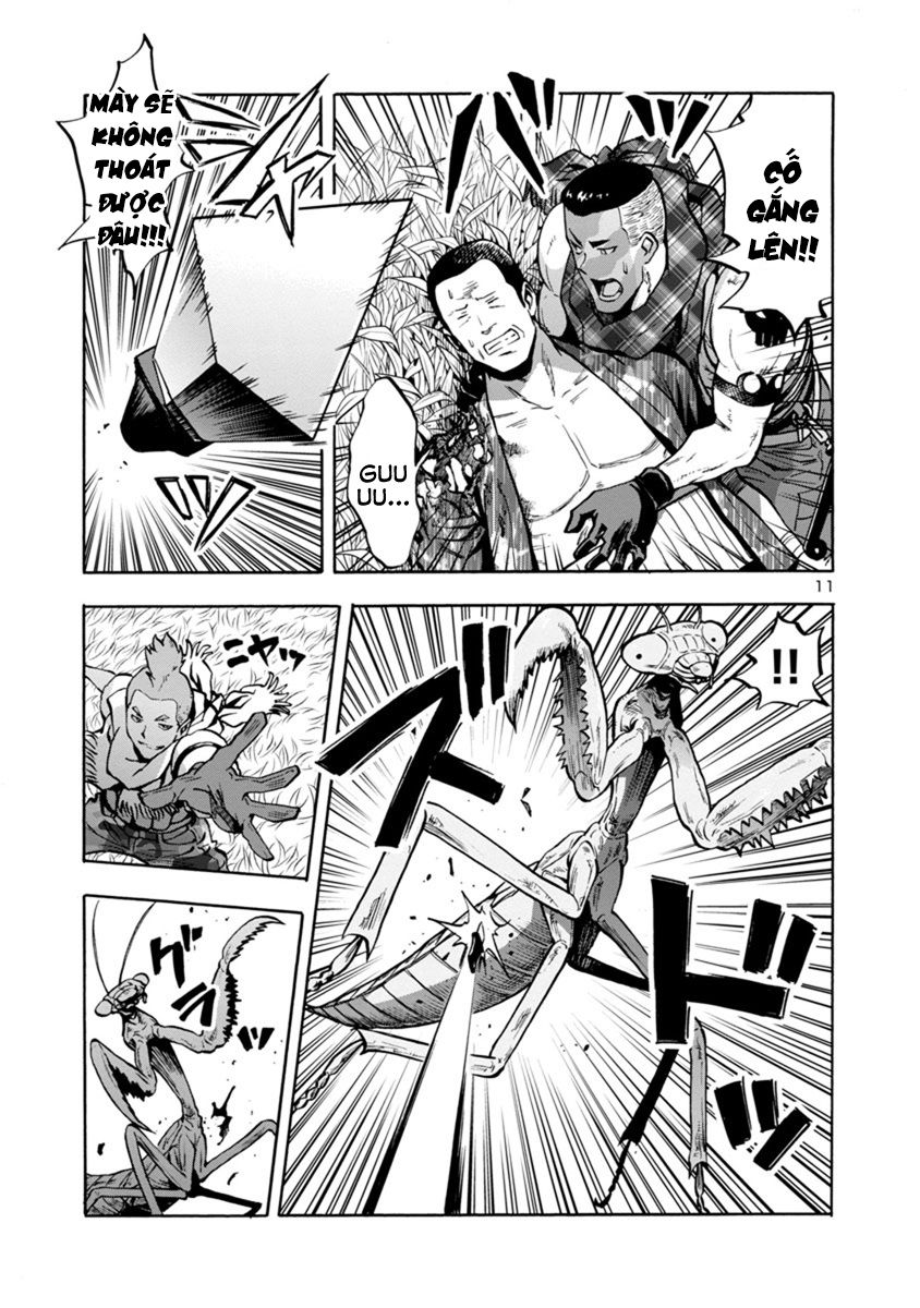 Kyochuu Rettou - Đảo Côn Trùng - Chương 38 - Trang 12