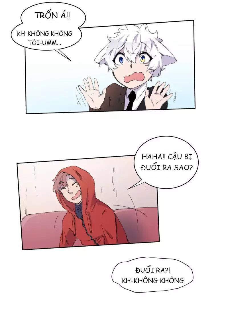 Lumine - Chương 10 - Trang 13